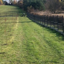 Tombud - Długi, metalowy płot panelowy na zboczu, z widocznym koszeniem trawy. Rząd młodych drzewek wzdłuż ścieżki. Jesienne drzewa w tle, błękitne niebo.
