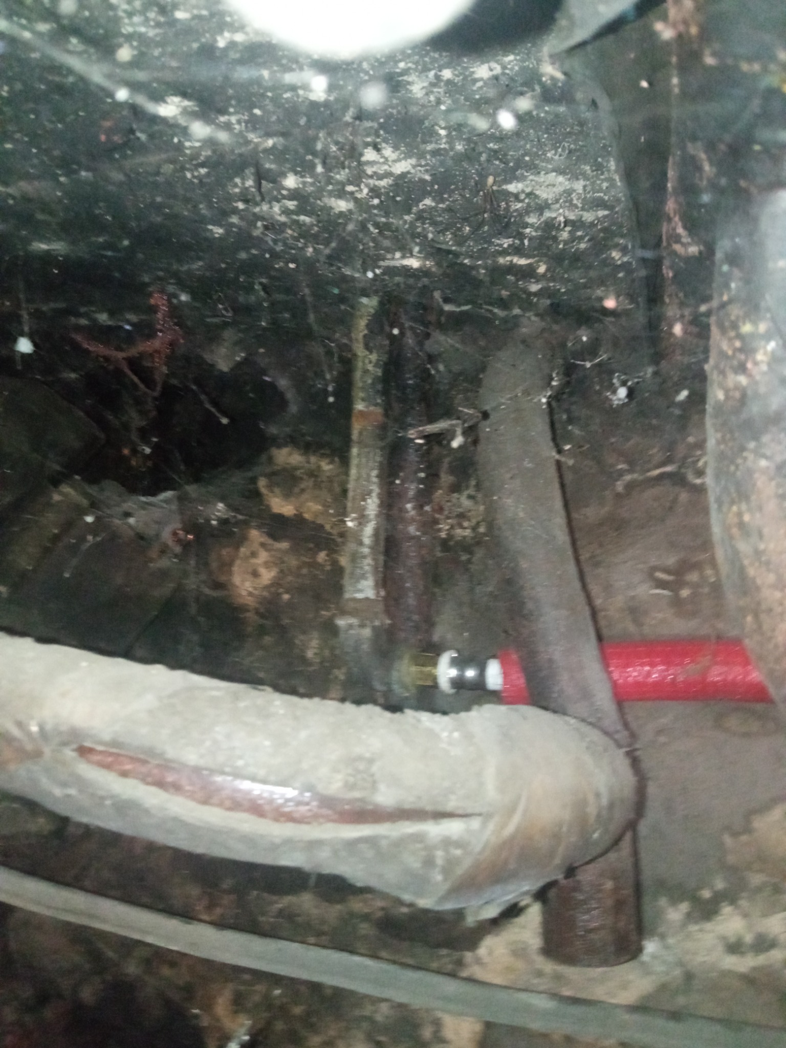 Zakamarek z rurami grzewczymi i instalacją wodną, widoczne pajęczyny, słabe oświetlenie i ogólny brak estetyki.