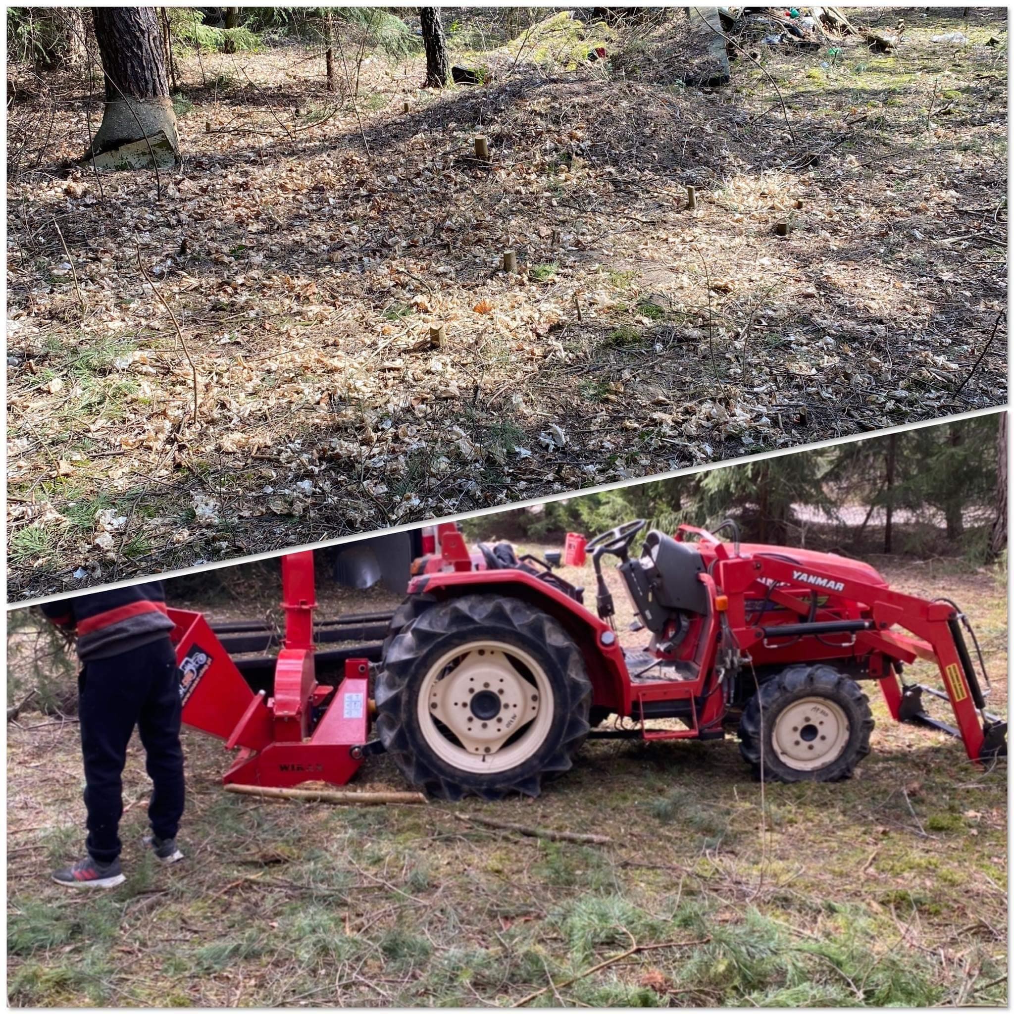 Dzielone zdjęcie przedstawia teren po wycince drzew z widocznymi pniakami oraz czerwony traktor Yanmar z podłączoną rębarką do gałęzi, sugerujący prace porządkowe po wycince.