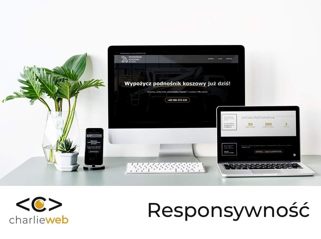 Responsywne Strony Internetowe