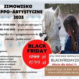 oferta na  otwarte zimowisko z kuponem BLACKFRIDAY2022 do końca roku. Rezerwacja przez stronę www.obozydzieciece.pl 