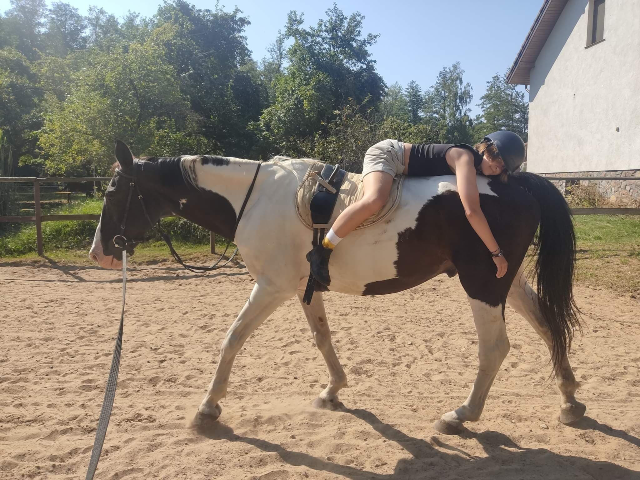Dziewczyna w czarnym kasku leży na grzbiecie pinto, czarno-białego konia na piaszczystym padoku, w tle drzewa i budynek.