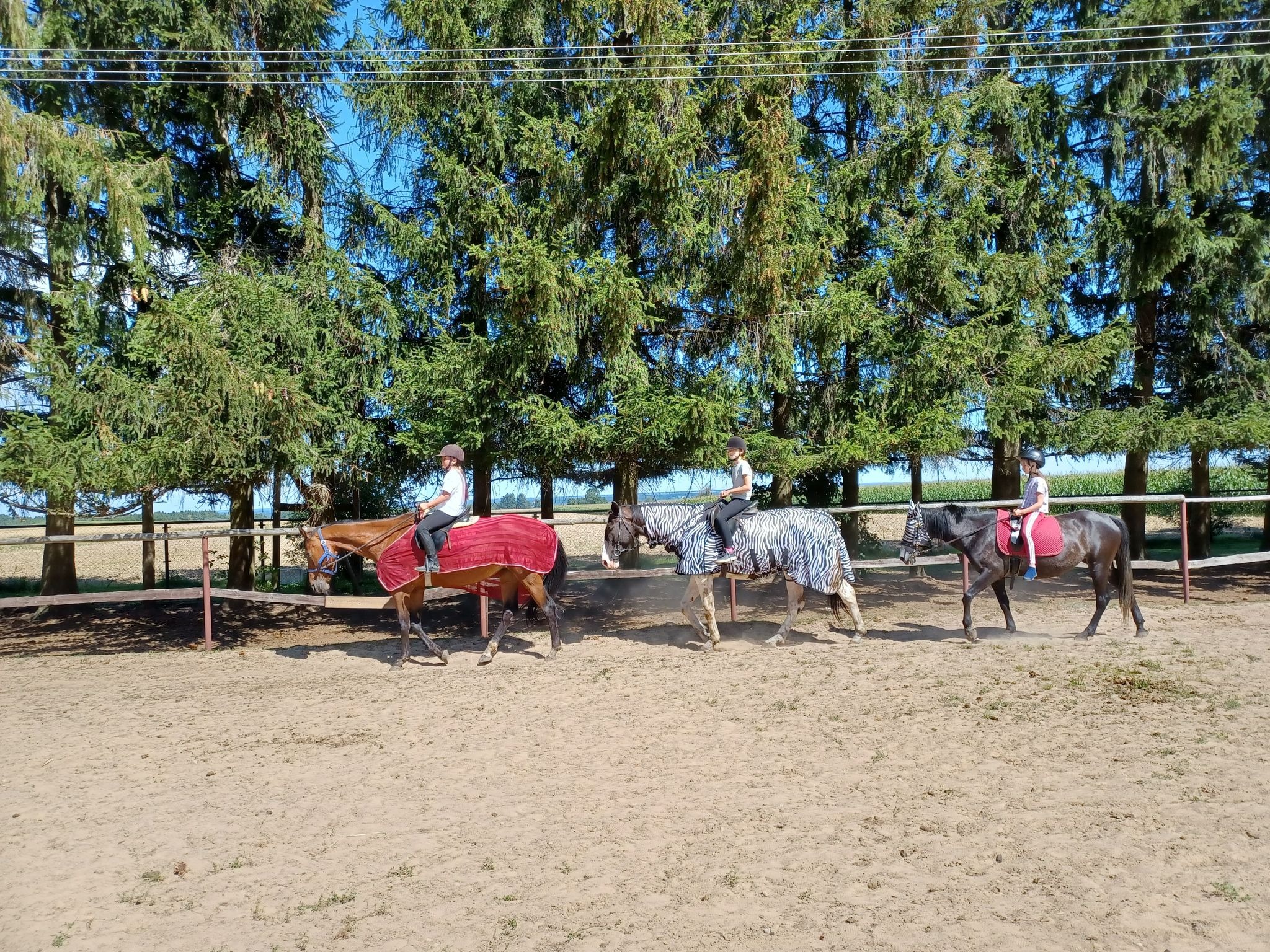 Trzy osoby na koniach jadące w rzędzie po piaszczystym terenie, konie przykryte derkami w różnych wzorach, w tle rząd wysokich drzew.
