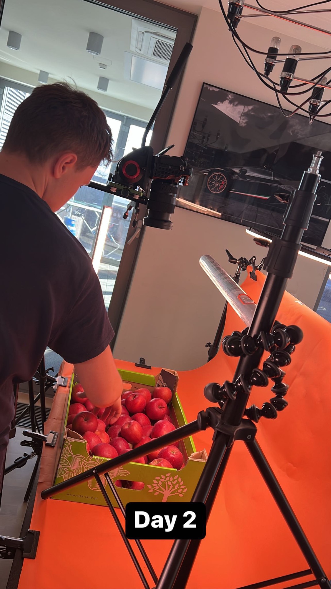 Człowiek ustawia jabłka z kartonu na pomarańczowym tle, przygotowując się do sesji zdjęciowej, widoczny profesjonalny sprzęt oświetleniowy i kamera.