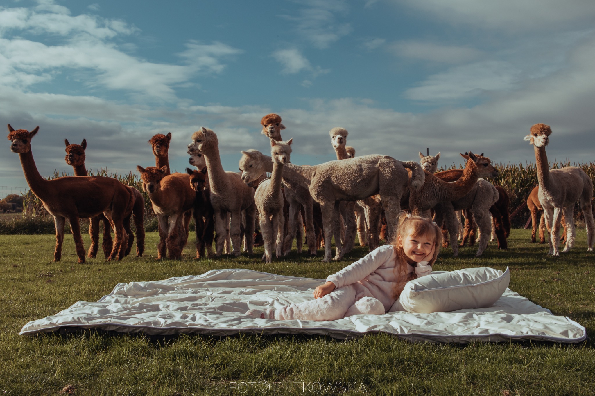 Uśmiechnięta dziewczynka w jasnoróżowej piżamie leży na białej kołdrze i poduszce na zielonej trawie, otoczona stadem alpak na tle błękitnego nieba z chmurami.