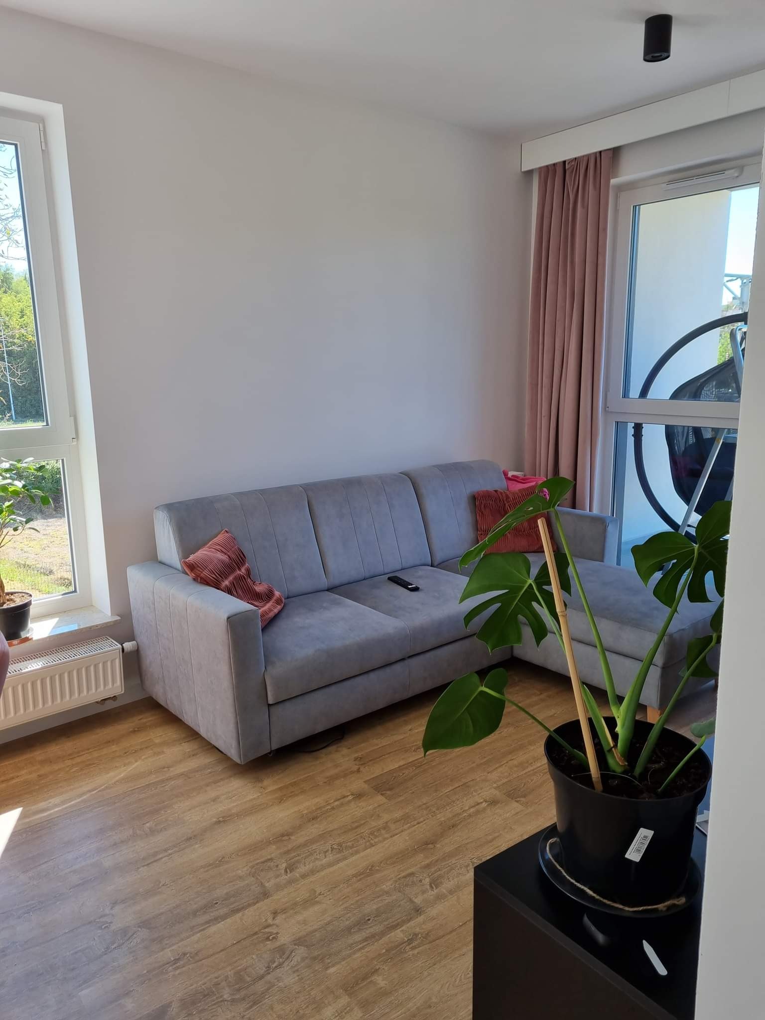 Jasnoszary narożnik z aksamitnymi poduszkami w odcieniach różu, drewnopodobna podłoga, roślina doniczkowa monstera w czarnej doniczce na czarnym stoliku, okno z widokiem na zieleń na zewnątrz...