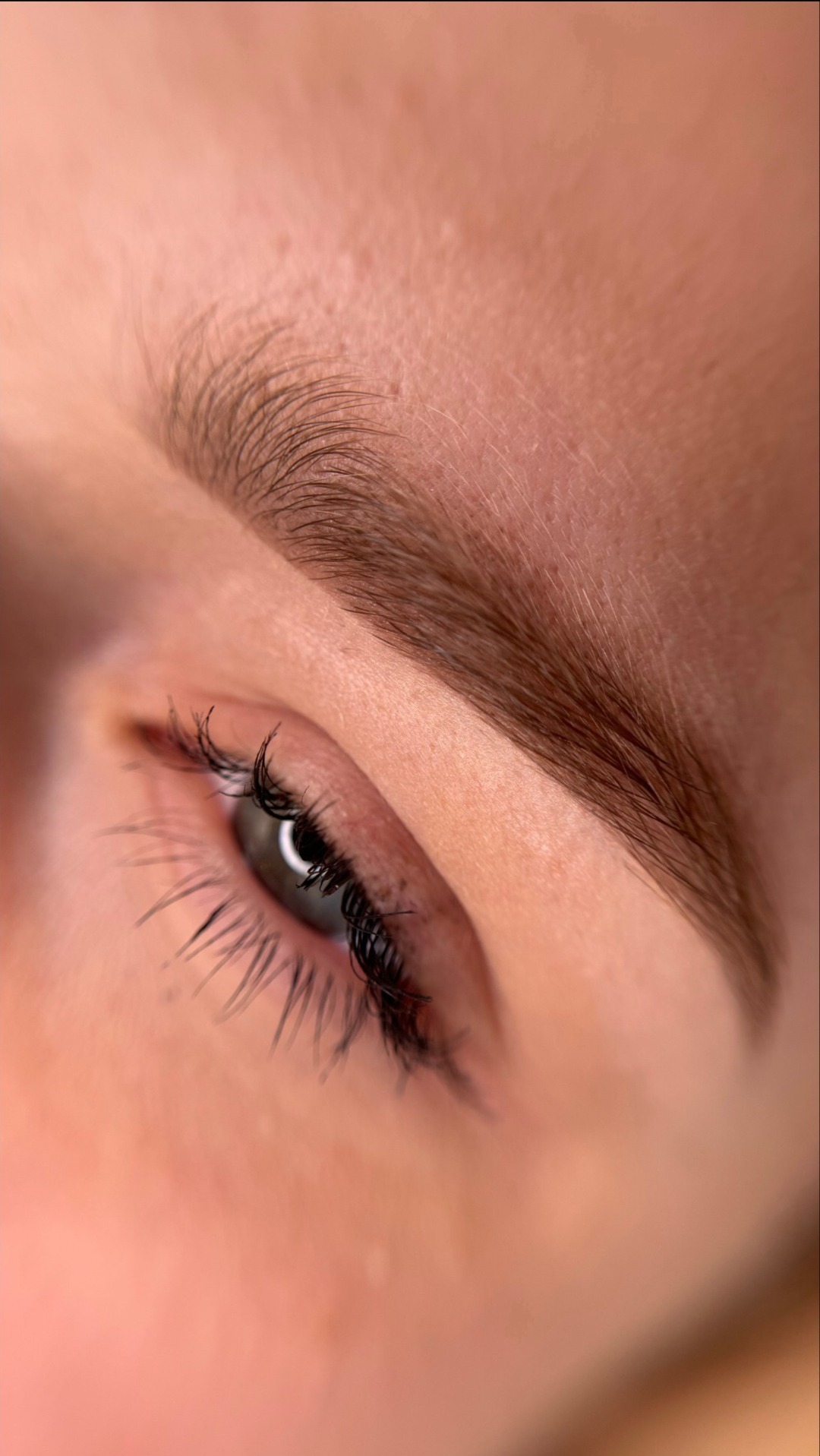 Zbliżenie na oko z wyraźnie podkreślonymi, czarnymi rzęsami i brwiami o naturalnym kształcie i kolorze, delikatny makijaż.