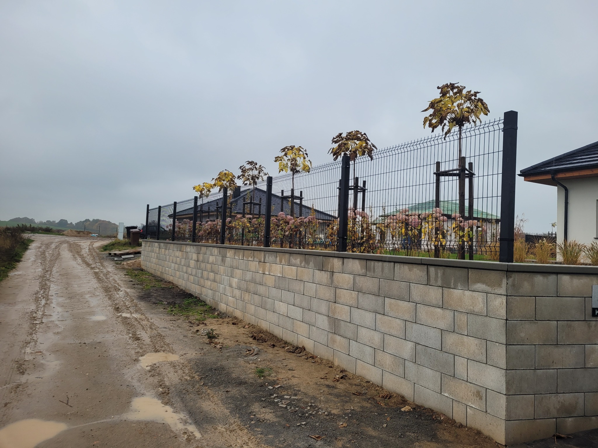 Nowoczesne ogrodzenie panelowe w kolorze czarnym, zamontowane na murku z szarej kostki, z młodymi drzewkami posadzonymi wzdłuż ogrodzenia, widok na polną drogę w pochmurny dzień.
