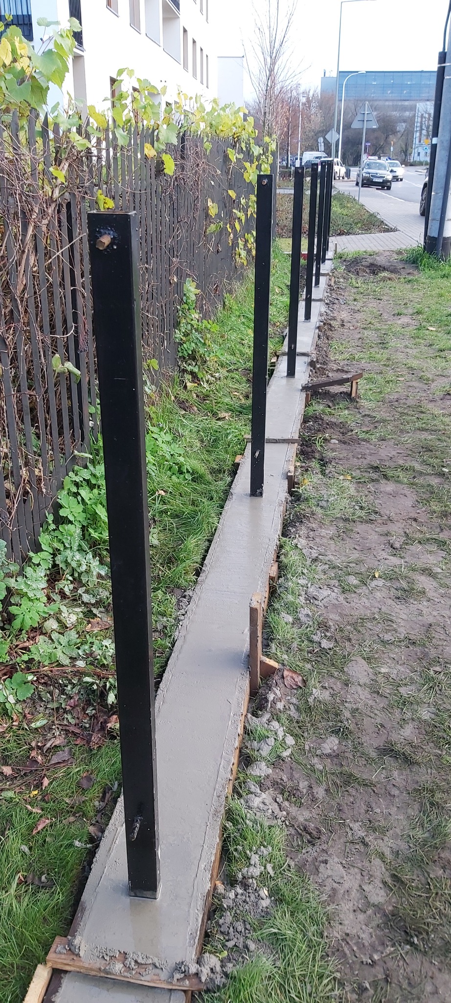 Wylany fundament pod ogrodzenie z zamontowanymi czarnymi słupkami, drewniane szalunki, trawa i częściowo widoczny stary płot z siatki.