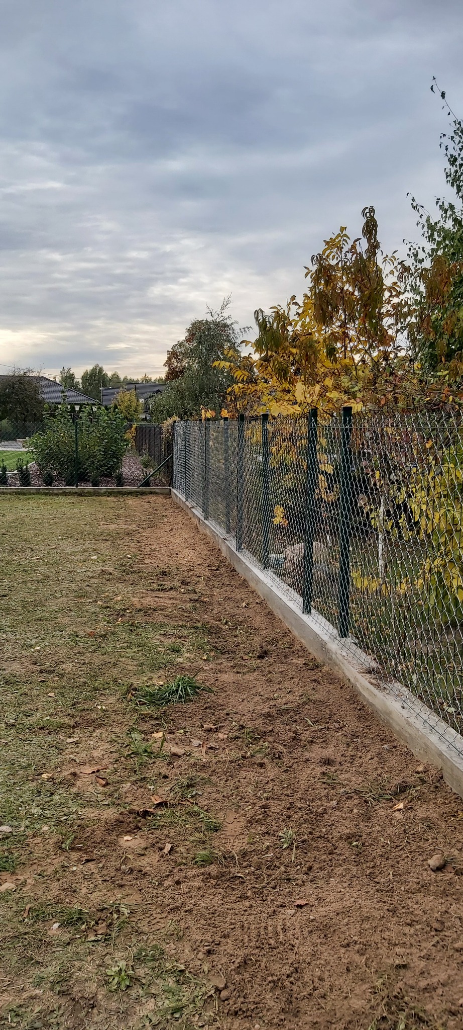 Nowo postawiona siatka ogrodzeniowa z zielonymi słupkami i betonową podmurówką na granicy działki z widoczną ziemią i trawą, z drzewami w tle.