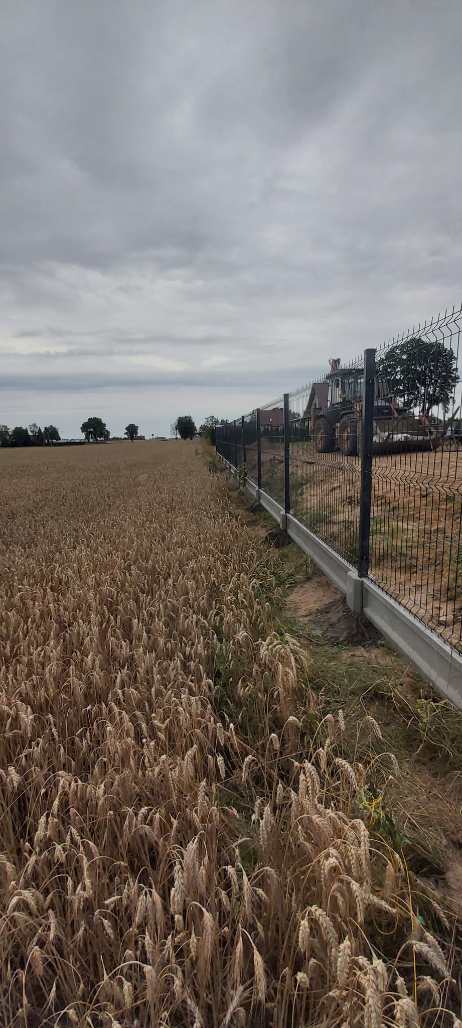 Nowoczesne ogrodzenie panelowe z podmurówką betonową oddzielające pole zboża od posesji, w tle widoczny traktor.