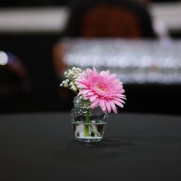 SEBASTIAN LAU VIRTUAL PARTNER - Pojedynczy, różowy gerber z drobnymi białymi kwiatami w małym, szklanym słoiczku na ciemnym stole, rozmyte tło z elementami zastawy stołowej