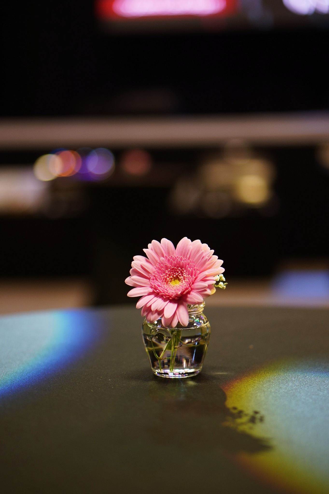 Pojedynczy, różowy kwiat gerbery w małym, szklanym słoiczku na ciemnym stole, z widocznym efektem tęczy na powierzchni stołu i rozmytym tłem z kolorowymi światłami.