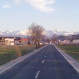 MS TRANS Sylwester Stach