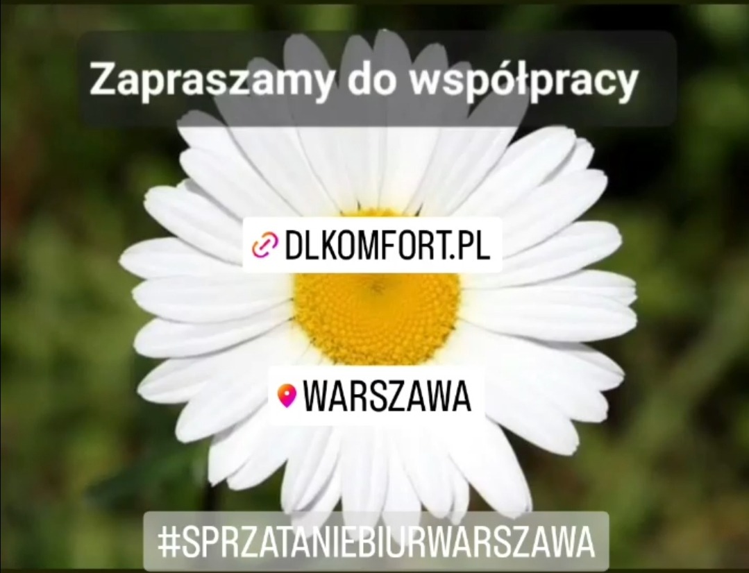Kwiatek rumianku na rozmytym zielonym tle, z nałożonym tekstem 'Zapraszamy do współpracy', adresem strony internetowej DLKOMFORT.PL, lokalizacją 'Warszawa' oraz hashtagiem #SPRZATANIEBIURWARSZAWA.