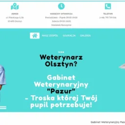 Projekt strony www dla gabinetu weterynaryjnego 'Pazur' z wizerunkiem uśmiechniętej lekarki w uniformie trzymającej tablet i siedzącego królika na turkusowym tle.