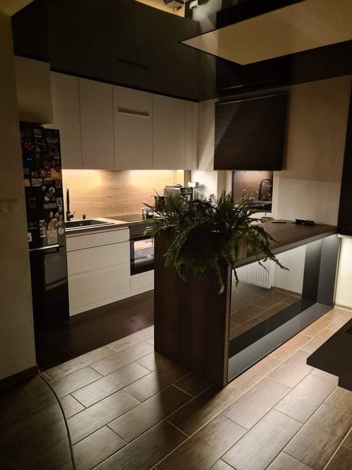 Nowoczesna kuchnia z białymi szafkami, ciemnym sufitem i wyspą z drewnianym blatem, zaakcentowana zieloną rośliną w doniczce, oświetlona ciepłym światłem.