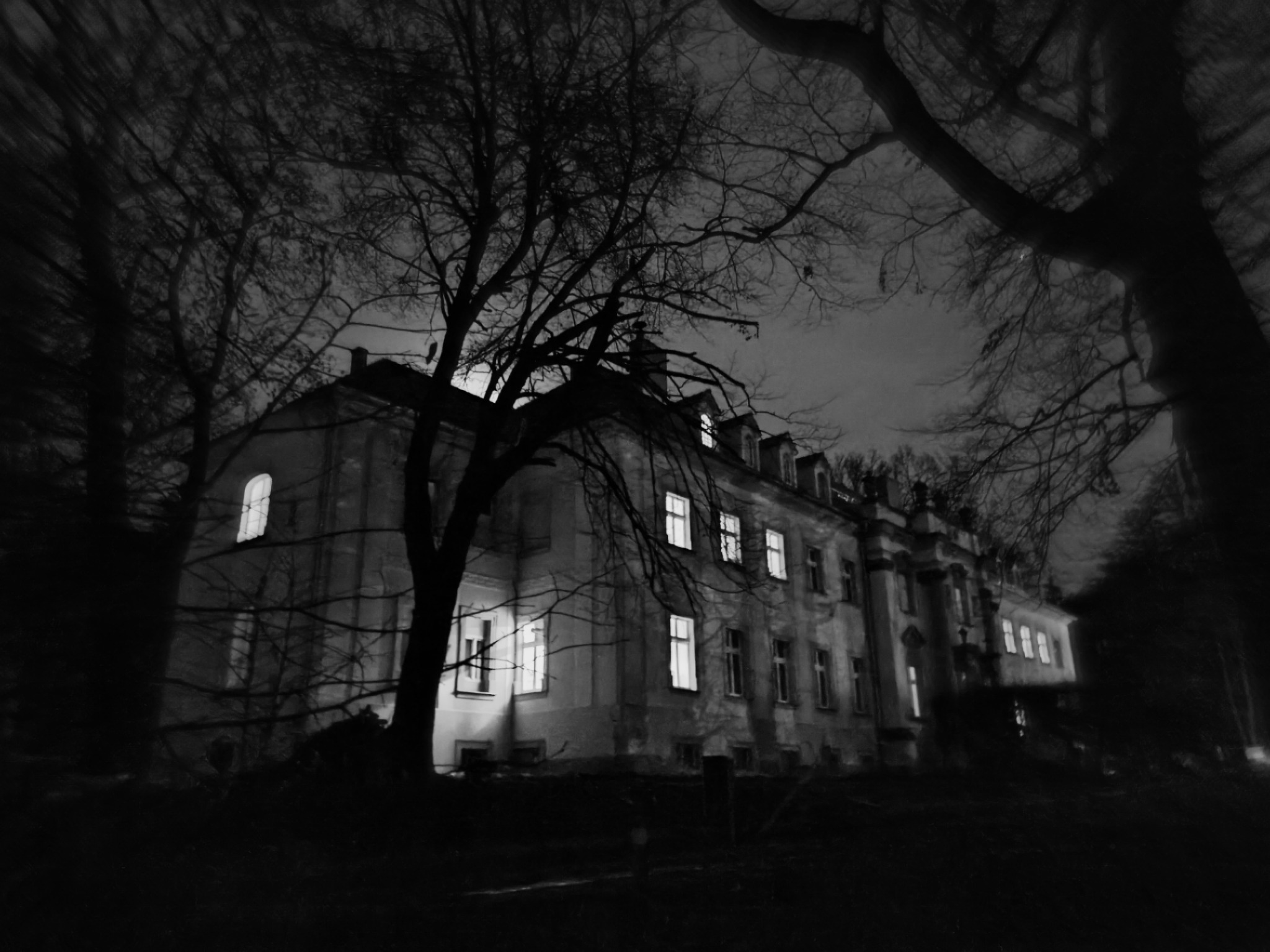 Czarno-białe ujęcie starego, oświetlonego budynku z licznymi oknami, widzianego z dołu przez gałęzie drzew w nocy.