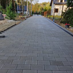Nie Podano - Długa, szara ścieżka z kostki brukowej prowadząca przez posesję z domem i drzewami, widoczne przygotowania do dalszego układania kostki po lewej stronie.