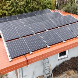 SUNKO GRZEGORZ MICHAŁOWSKI, SZYMON PIEKUTOWSKI S.C. - Czarny kot siedzi na dachu z pomarańczowej blachy, na którym zamontowano panele słoneczne; w tle drzewa i drabina oparta o ścianę budynku.