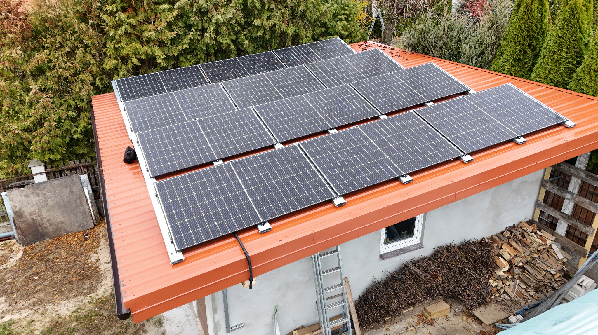 Czarny kot siedzi na dachu z pomarańczowej blachy, na którym zamontowano panele słoneczne; w tle drzewa i drabina oparta o ścianę budynku.