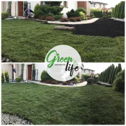 Układanie trawy z rolki na przygotowanym podłożu w ogrodzie, widoczny fragment trawnika, pracownik w trakcie pracy i rolka trawy, w tle zadbana roślinność i dom.