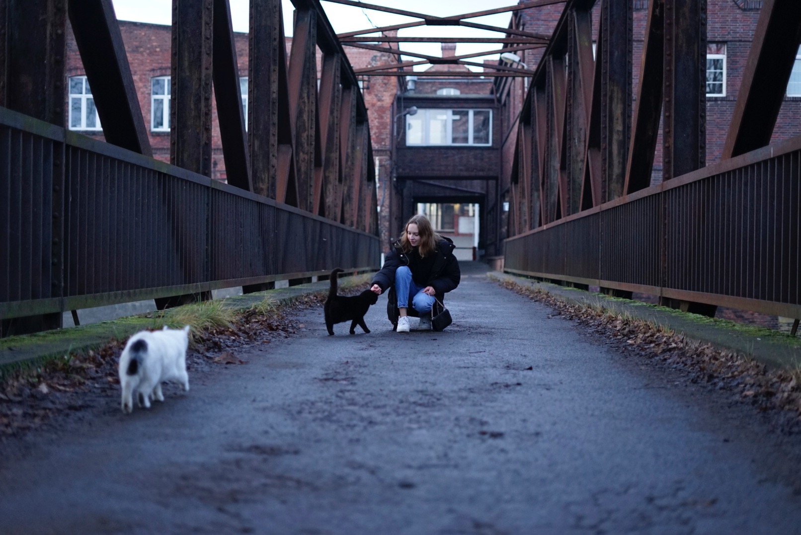 Kobieta w czarnej kurtce kuca na moście, głaszcząc czarnego kota; w tle biało-czarny kot i ceglany budynek.