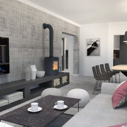 wnętrza z betonową ścianą