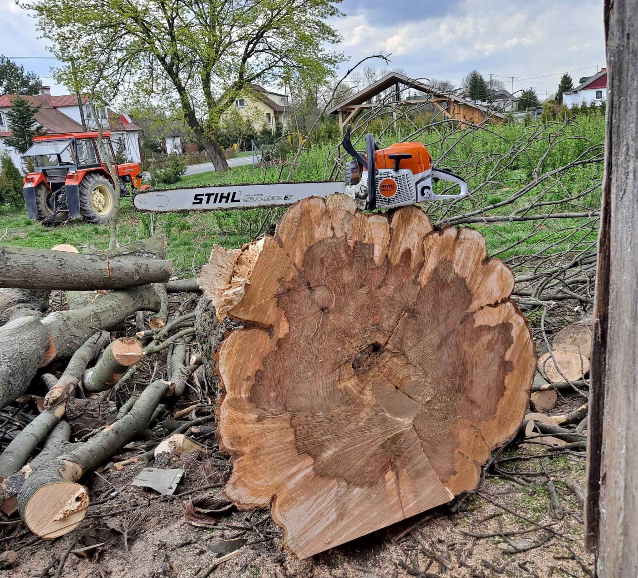 Świeżo ścięty pień drzewa z widocznymi słojami, na którym leży pomarańczowo-biała piła spalinowa Stihl. W tle traktor z polską flagą i zabudowania wiejskie.