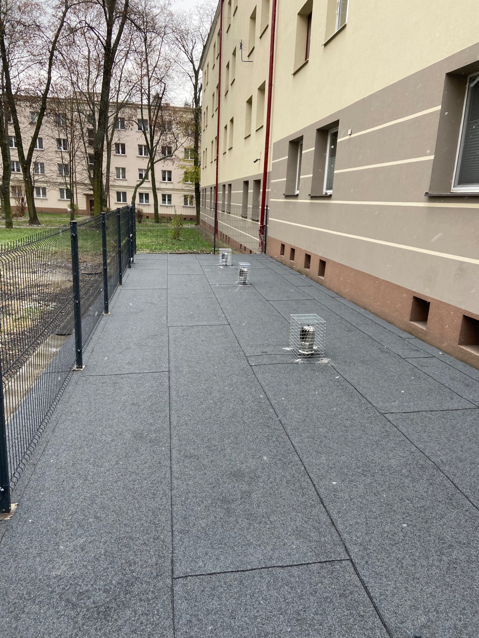Płaski dach pokryty szarymi panelami bitumicznymi, zabezpieczone kominki wentylacyjne z metalowymi osłonami, widoczna ściana budynku i ogrodzenie.
