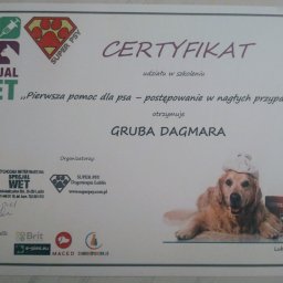 Certyfikat ze szkolenia z pierwszej pomocy dla psów.