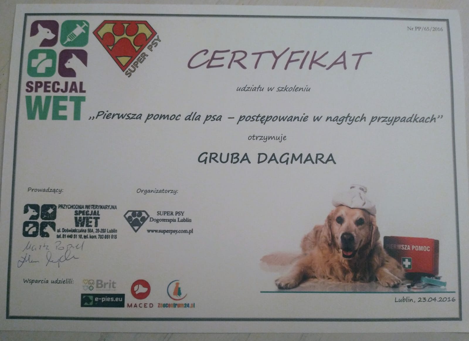 Certyfikat ze szkolenia z pierwszej pomocy dla psów.