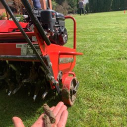 McMaszyn - Rośliny i podłoża Szczecin