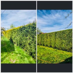 Wycinka drzew Brenna 3