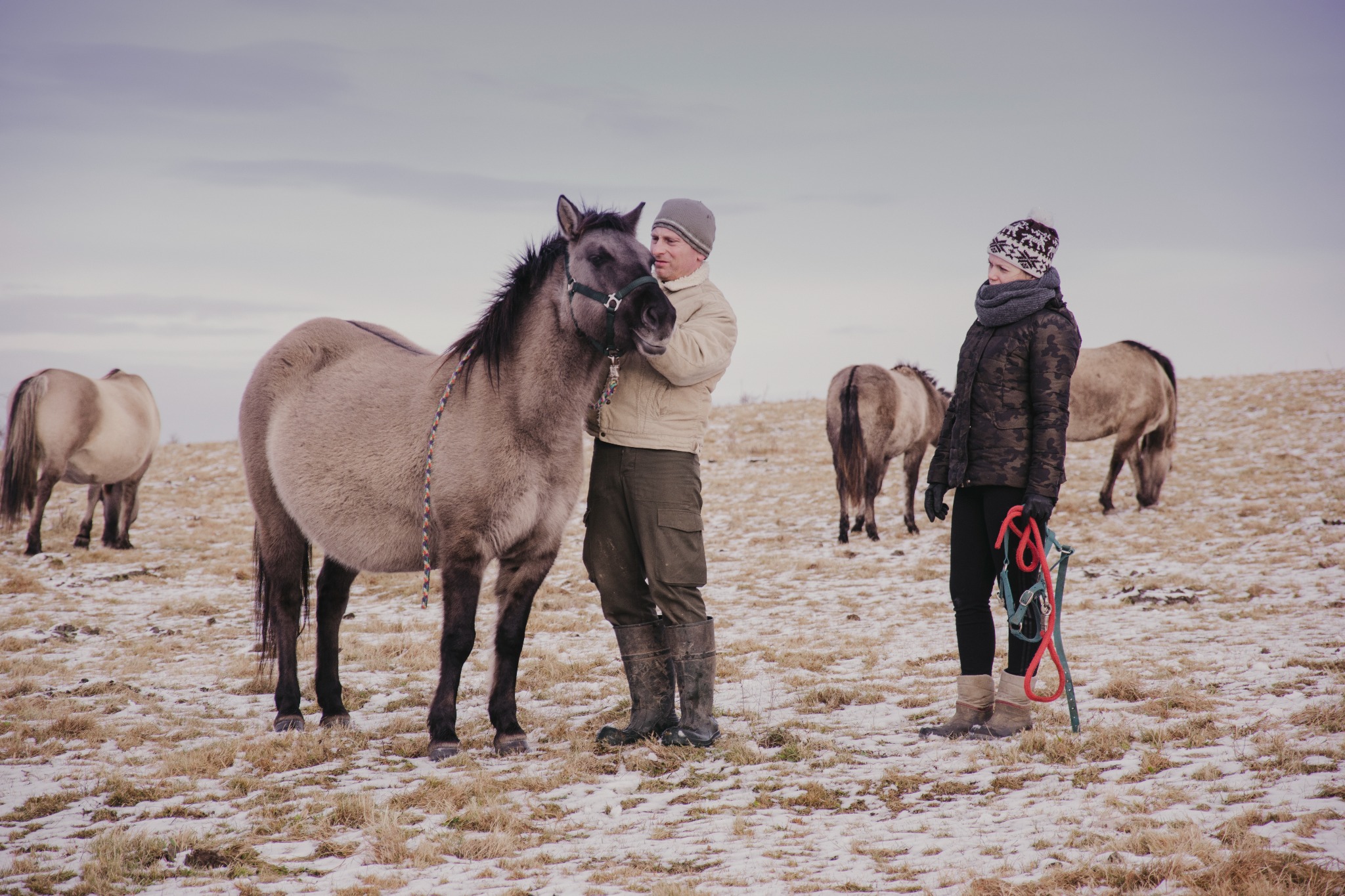 Stadnina/Agroturystyka