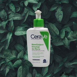 Grafik komputerowy Warszawa 1