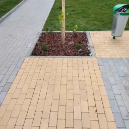 Żółta kostka brukowa tworząca ścieżkę wokół drzewa z korą i małą zielenią, obok szara kostka i kosz na śmieci.