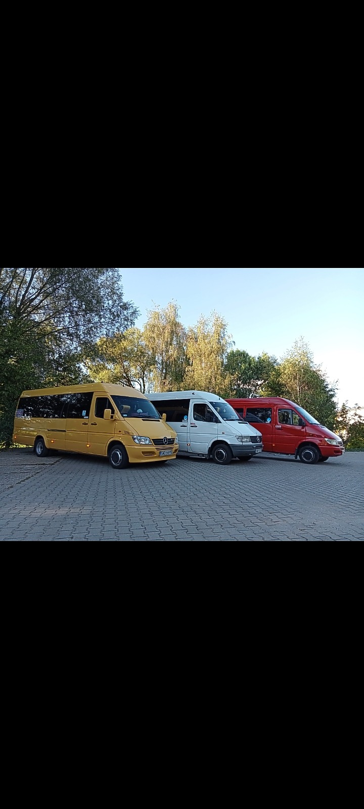 Żółty, biały i czerwony minibus Mercedes-Benz Sprinter zaparkowane obok siebie na kostce brukowej, z drzewami w tle.
