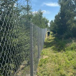 Mont Bud Team Jakub Trzciński - Długi, metalowy płot z siatki leśnej, ciągnący się wzdłuż zarośniętej ścieżki na tle zieleni i błękitnego nieba. W oddali sylwetka osoby.