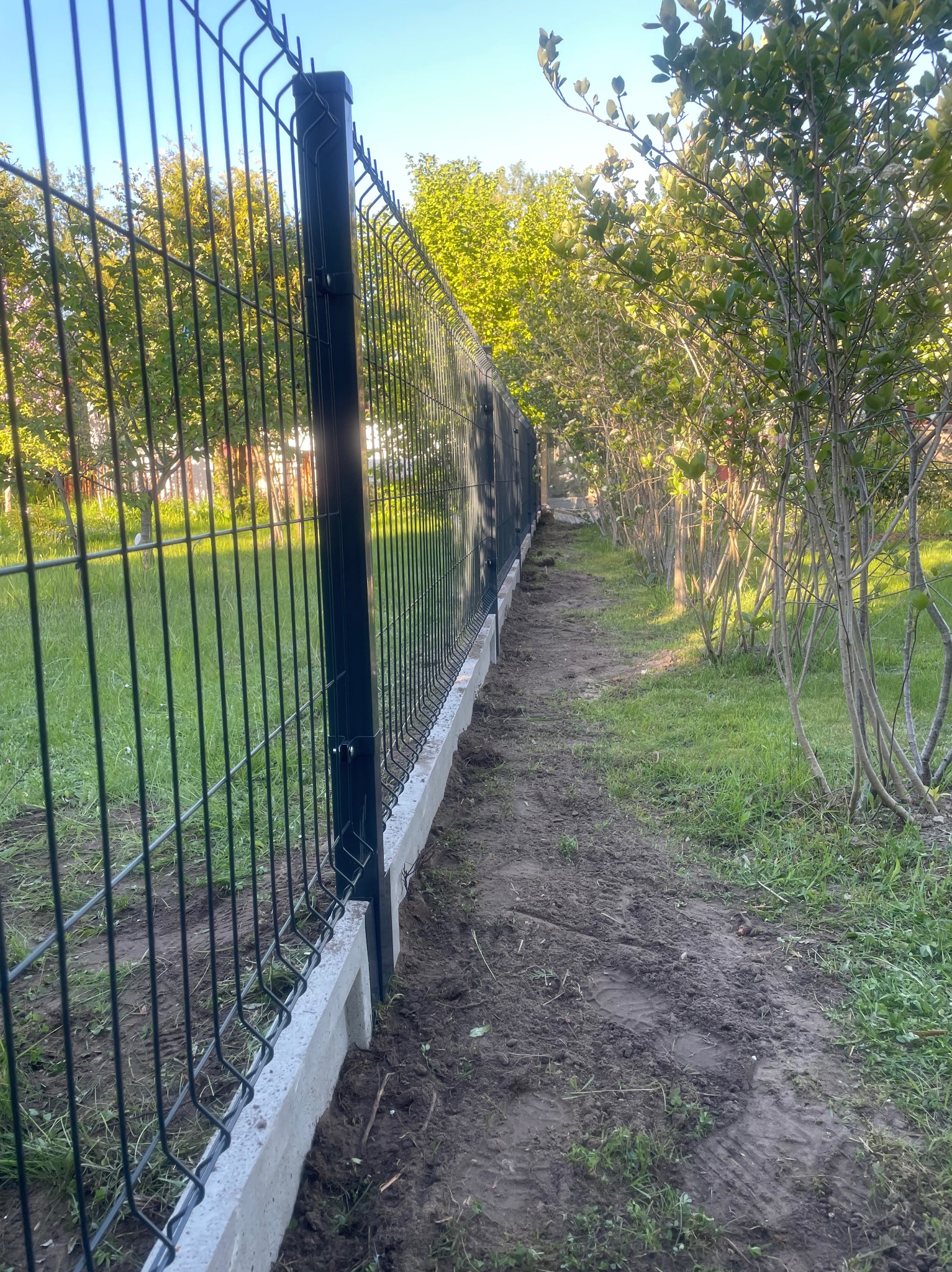 Nowo zainstalowane, ciemne ogrodzenie panelowe z podmurówką betonową, widok wzdłuż linii ogrodzenia, z ziemią naruszoną po montażu i zielenią w tle.