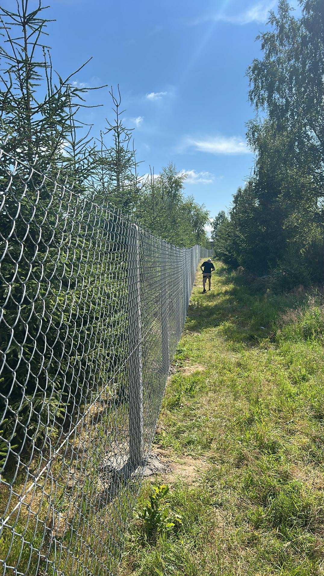 Długi, metalowy płot z siatki leśnej, ciągnący się wzdłuż zarośniętej ścieżki na tle zieleni i błękitnego nieba. W oddali sylwetka osoby.
