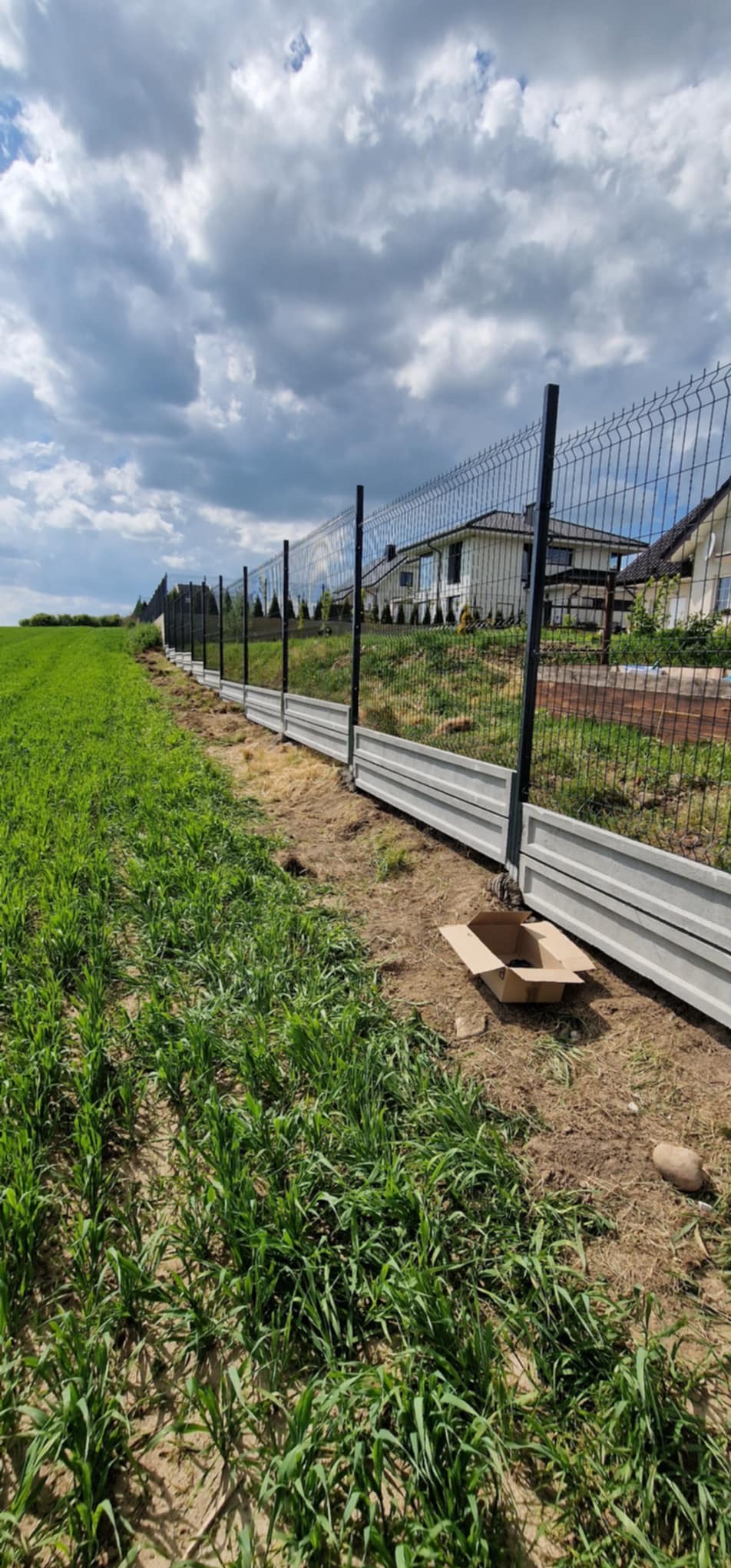 Nowoczesne ogrodzenie panelowe z podmurówką betonową na granicy działki, widok z perspektywy trawnika. W tle dom jednorodzinny i pochmurne niebo.