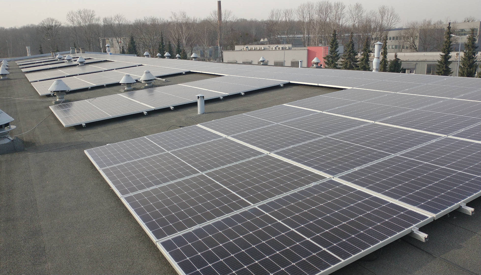 Rząd paneli słonecznych na płaskim, pokrytym papą dachu budynku przemysłowego z kominami wentylacyjnymi, widoczne drzewa w tle.