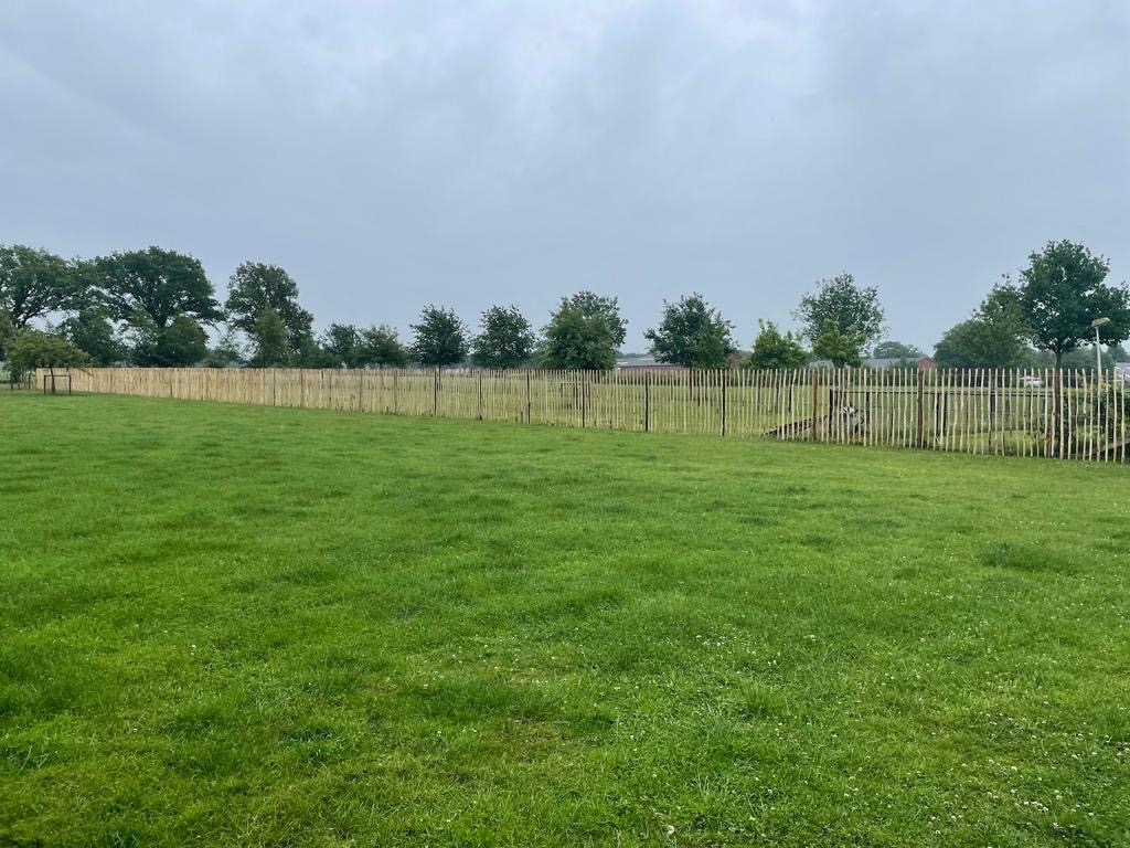 Długa, jasna, drewniana palisada ogrodowa oddzielająca zielony trawnik od drzew w tle, widok z perspektywy szerokiego kąta.