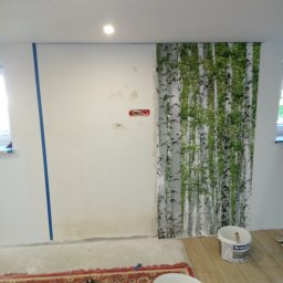 MB-complex - Ściana w trakcie przygotowania do prac wykończeniowych: część zagruntowana i zabezpieczona taśmą malarską, część z tapetą imitującą las brzozowy, widoczne dwa wiadra z gruntem i resztki kleju...