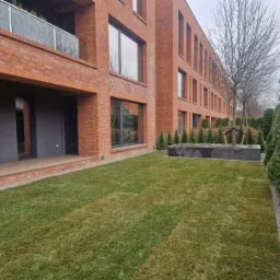 Nowo założony trawnik z rolki przed nowoczesnym budynkiem z czerwonej cegły, widoczne tuje wzdłuż granicy działki i małe drzewka w ozdobnych donicach.