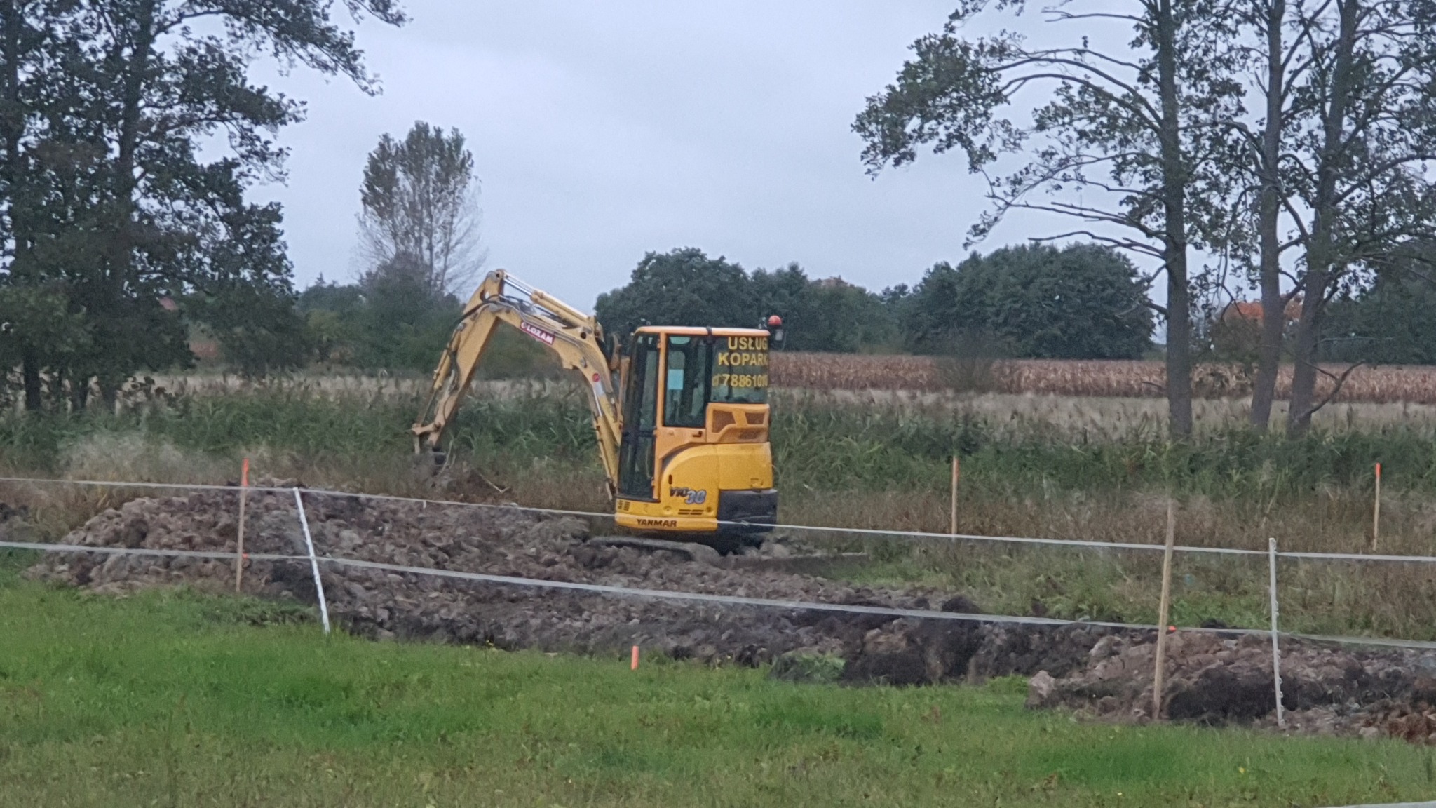 Żółta mini koparka Yanmar VIO30 w trakcie pracy, widoczne świeżo wykopane ziemia i wyznaczone paliki z linką, tło stanowią drzewa i pole kukurydzy, pochmurny dzień.