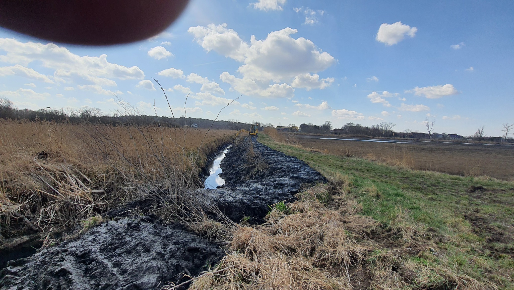 Żółta koparka przy rowie melioracyjnym wypełnionym wodą, obok wykopana ziemia, wysoka trawa i trzciny, w tle błękitne niebo z chmurami.