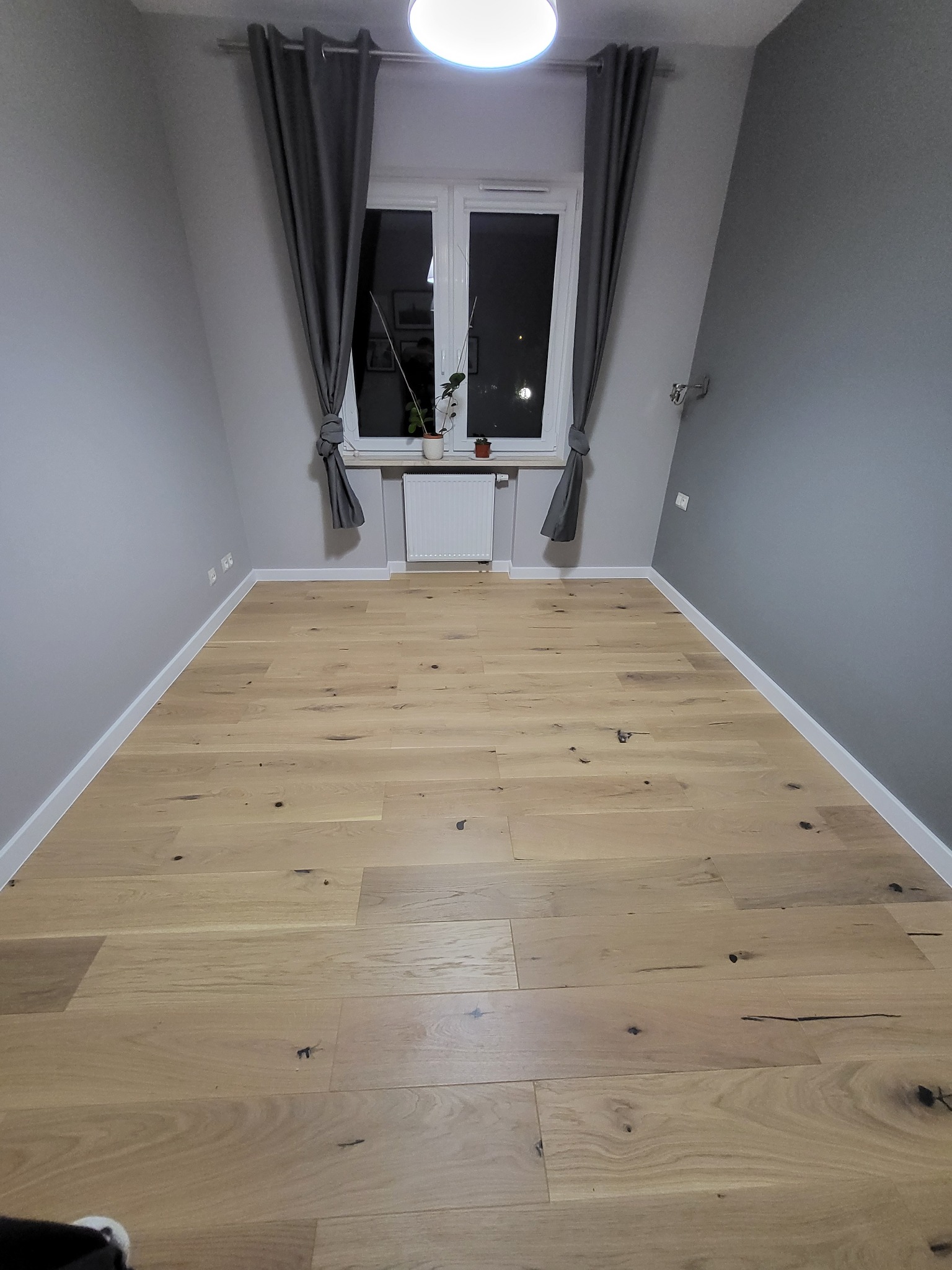 Jasne panele podłogowe z wyraźnym usłojeniem i ciemnymi sękami w pokoju z szarymi ścianami, białymi listwami przypodłogowymi i oknem z szarymi zasłonami.