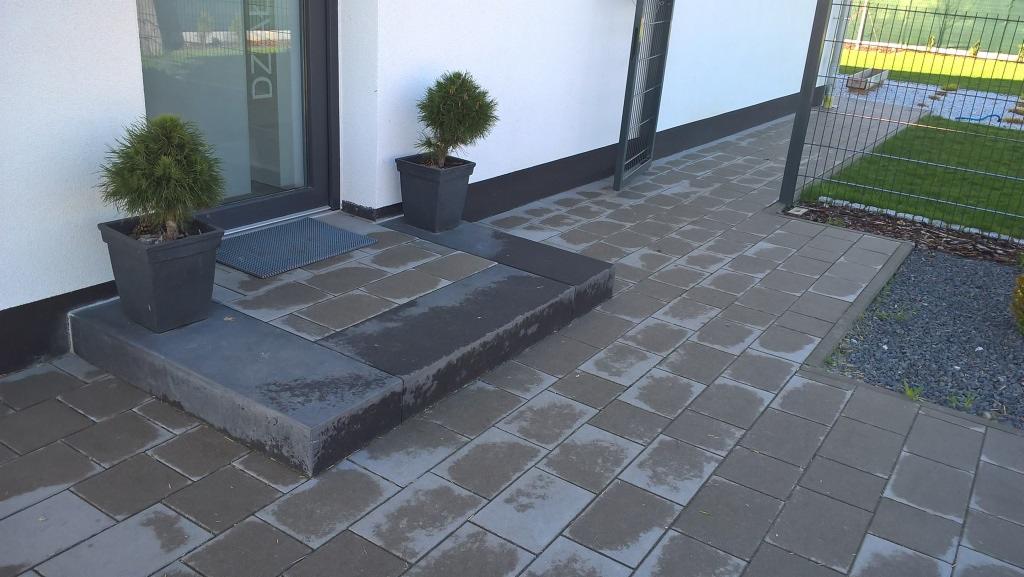 Ułożona kostka brukowa w odcieniach szarości prowadząca do wejścia domu, z dwoma drzewkami w doniczkach i fragmentem ogrodzenia w tle. Widoczny stopień wejściowy.